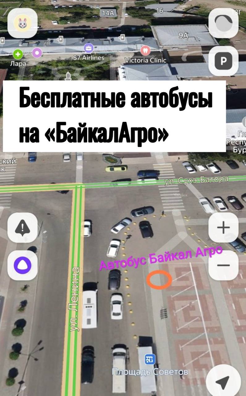 От площади Советов каждый час будет ходить бесплатный автобус с 10 до 16 часов